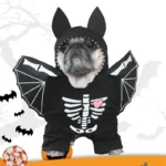 Cloth Bat Costume for Dogs in Four Sizes up to 11 kg - Image 5