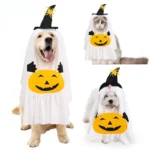 Pumpkin and Ghost Costume Set with a Funny Halloween Look - Image 2
