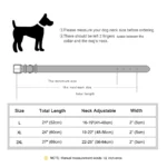 Two-Inch Wide Genuine Leather Dog Collar with Spikes and Rivets - Image 6