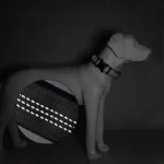 Two-Inch Wide Genuine Leather Dog Collar with Spikes and Rivets - Image 2