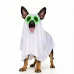 Ghost Cape Costume with Witch Hat for Halloween Dogs - Image 2