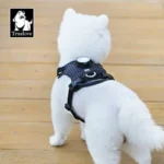 LED Harness for Dogs with 19 Light Modes and a Tracker Holder - Image 6
