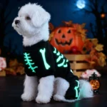 Glow in the Dark Skeleton Jumpsuit for Small and Medium Dogs - Image 3