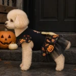 Black Mesh Dog Dress with Pumpkin Print and Big Bow - Image 2