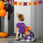 Halloween Dog Dress with Bow in Pumpkin, Witch or Bat Style - Image 3