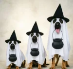 Ghost Cape Costume with Witch Hat for Halloween Dogs - Image 4