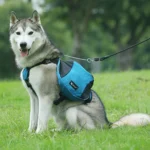 Dog Backpack Harness Vest with Pockets for Carrying Its Own Gear - Image 4