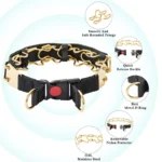 Stainless Steel Prong Collar with Quick-Release Buckle for Dogs - Image 3