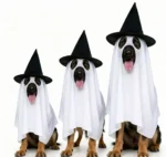 Ghost Cape Costume with Witch Hat for Halloween Dogs - Image 3