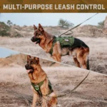 Breathable Nylon Dog Harness Set with Collar and Leash - Image 3