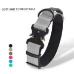 Two-Inch Wide Genuine Leather Dog Collar with Spikes and Rivets