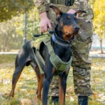 No-Pull Tactical Dog Harness Vest for Medium and Large Dogs